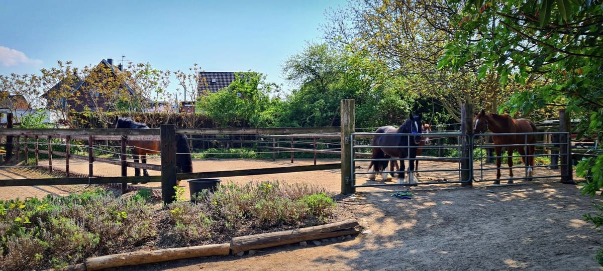 Paddocks